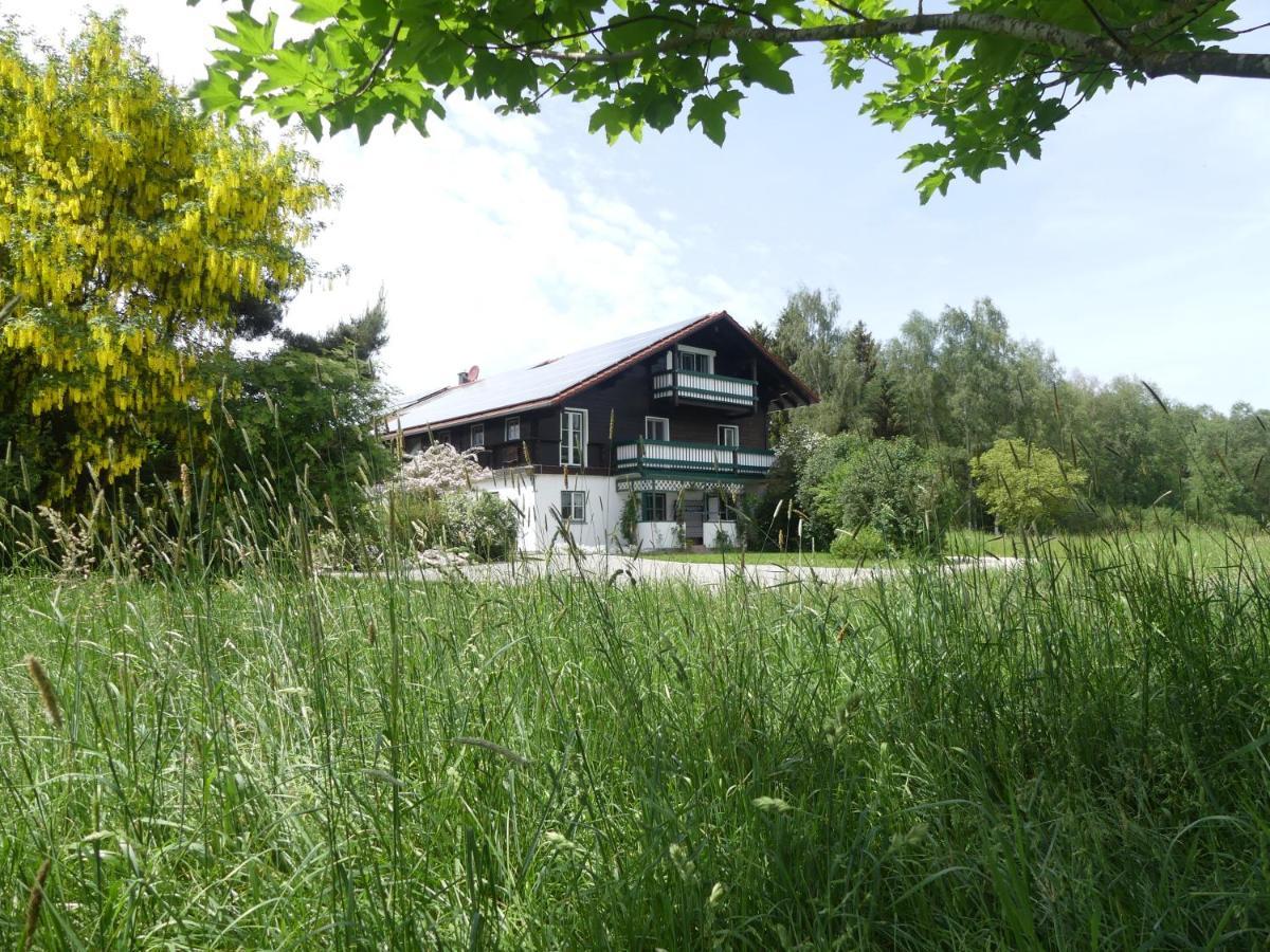 Appartamento Ferienhaus Damberg Übersee Esterno foto